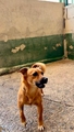 MEL Imagen 1